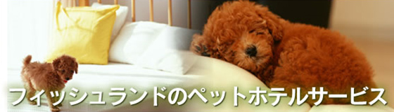 ペットホテルサービス