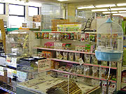 1階小動物コーナー 1階小動物コーナー