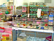 小動物コーナー 小動物コーナー